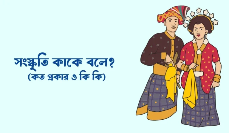 সংস্কৃতি কাকে বলে, কত প্রকার ও কি কি